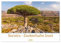Socotra - Zauberhafte Insel (Wandkalender 2026 DIN A3 quer), CALVENDO Monatskalender Cover Socotra - Zauberhafte Insel (Wandkalender 2026 DIN A3 quer), CALVENDO Monatskalender