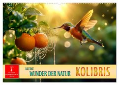 Kolibris - kleine Wunder der Natur (Wandkalender 2026 DIN A2 quer), CALVENDO Monatskalender
