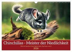 Chinchillas - Meister der Niedlichkeit (Wandkalender 2026 DIN A3 quer), CALVENDO Monatskalender Chinchillas - Meister der Niedlichkeit (Wandkalender 2026 DIN A3 quer), CALVENDO Monatskalender