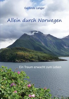 Allein durch Norwegen (eBook, ePUB)