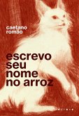 Escrevo seu nome no arroz (eBook, ePUB)
