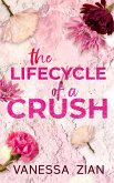 The Lifecycle of a Crush The Lifecycle of a Crush