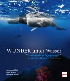 Wunder unter Wasser Wunder unter Wasser