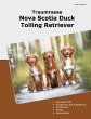 Traumrasse Nova Scotia Duck Tolling... - Bild 1