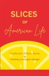 Slices of American Life A Collection Of... - Bild 1