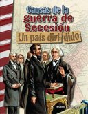 Causas de la Guerra de Secesión