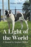 A Light of the World