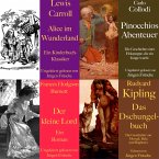 Die Abenteuer Box: 4 Hörbuch-Klassiker für die Jugend (MP3-Download)
