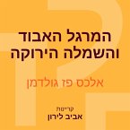 המרגל האבוד והשמלה הירוקה (MP3-Download)