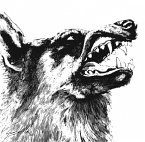 I,Vigilante (Black Vinyl) I,Vigilante (Black Vinyl)