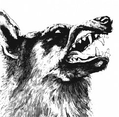 Cover I,Vigilante (Black Vinyl)
