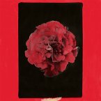 A Thousand Years In Another Way