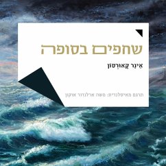 שחפים בסופה (MP3-Download) - Kárason, Einar