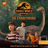 Folge 33: Eine lange Nacht / Wer solche Freunde hat (1) [Das Original-Hörspiel zur Serie] (MP3-Download)