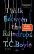 I Walk Between the Raindrops - Bild 1