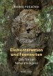 Elementarwesen und Feenwelten - Bild 1
