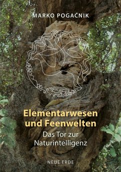 Cover Elementarwesen und Feenwelten