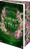 A Spark of Time - Ein Treffen in den Highlands A Spark of Time - Ein Treffen in den Highlands