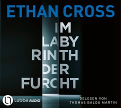 Cover Im Labyrinth der Furcht