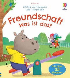 Erstes Aufklappen und Verstehen: Freundschaft - Was ist das? - Sousa, Ashe de