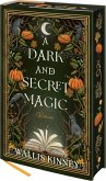 A Dark and Secret Magic A Dark and Secret Magic