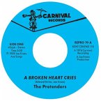A Broken Heart Cries