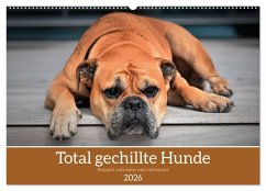 Total gechillte Hunde (Wandkalender 2026 DIN A2 quer), CALVENDO Monatskalender