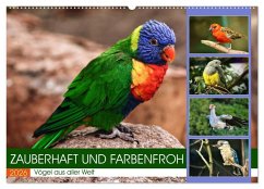 Cover Zauberhaft und farbenfroh (Wandkalender 2026 DIN A2 quer), CALVENDO Monatskalender