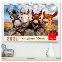 Cover Esel - neugierige Typen (hochwertiger Premium Wandkalender 2026 DIN A2 quer), Kunstdruck in Hochglanz