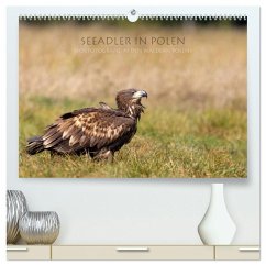 Seeadler in Polen (hochwertiger Premium Wandkalender 2026 DIN A2 quer), Kunstdruck in Hochglanz