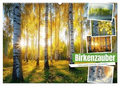 Cover Birkenzauber (Wandkalender 2026 DIN A2 quer), CALVENDO Monatskalender