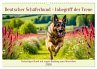 Deutscher Schäferhund - Inbegriff der... - Bild 1