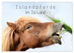 Cover Islandpferde im Isi-Land (Wandkalender 2026 DIN A2 quer), CALVENDO Monatskalender