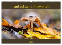 Cover Fantastische Pilzwelten (Wandkalender 2026 DIN A2 quer), CALVENDO Monatskalender