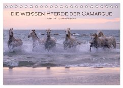 Die weißen Pferde der Camargue (Tischkalender 2026 DIN A5 quer), CALVENDO Monatskalender