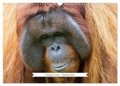 Cover Orang Utans - Indonesien (Wandkalender 2026 DIN A3 quer), CALVENDO Monatskalender