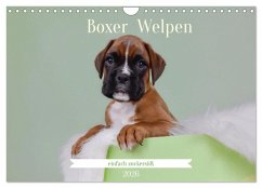Boxer Welpen einfach zuckersüß (Wandkalender 2026 DIN A4 quer), CALVENDO Monatskalender