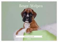 Boxer Welpen einfach zuckersüß (Wandkalender 2026 DIN A2 quer), CALVENDO Monatskalender