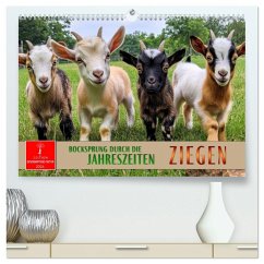 Ziegen - Bocksprung durch das Jahr (hochwertiger Premium Wandkalender 2026 DIN A2 quer), Kunstdruck in Hochglanz