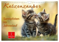 Katzenzauber - Samtpfoten im Jahreslauf (Wandkalender 2026 DIN A4 quer), CALVENDO Monatskalender