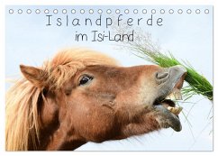 Cover Islandpferde im Isi-Land (Tischkalender 2026 DIN A5 quer), CALVENDO Monatskalender