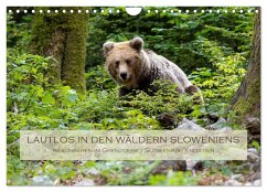 Lautlos in den Wäldern Sloweniens (Wandkalender 2026 DIN A4 quer), CALVENDO Monatskalender
