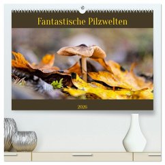 Cover Fantastische Pilzwelten (hochwertiger Premium Wandkalender 2026 DIN A2 quer), Kunstdruck in Hochglanz