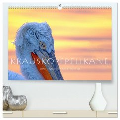 Krauskopfpelikane (hochwertiger Premium Wandkalender 2026 DIN A2 quer), Kunstdruck in Hochglanz