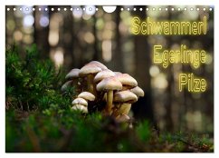 Schwammerl Egerlinge Pilze (Wandkalender 2026 DIN A4 quer), CALVENDO Monatskalender