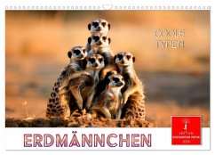 Cover Erdmännchen - coole Typen (Wandkalender 2026 DIN A3 quer), CALVENDO Monatskalender