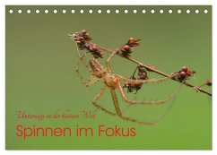 Cover Spinnen im Fokus (Tischkalender 2026 DIN A5 quer), CALVENDO Monatskalender