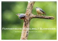 Fantastische Vogelwelt Slowenien (Wandkalender 2026 DIN A3 quer), CALVENDO Monatskalender