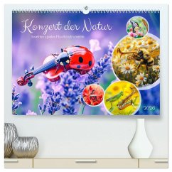 Cover Konzert der Natur - Insekten spielen Musikinstrumente (hochwertiger Premium Wandkalender 2026 DIN A2 quer), Kunstdruck in Hochglanz