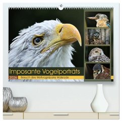 Cover Imposante Vogelporträts (hochwertiger Premium Wandkalender 2026 DIN A2 quer), Kunstdruck in Hochglanz